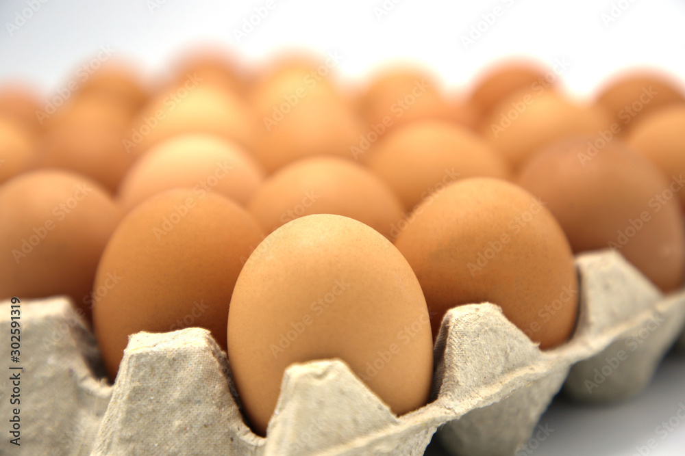 Brown chicken egg in paper box isolated on white background Brown chicken egg in paper box isolated on white background