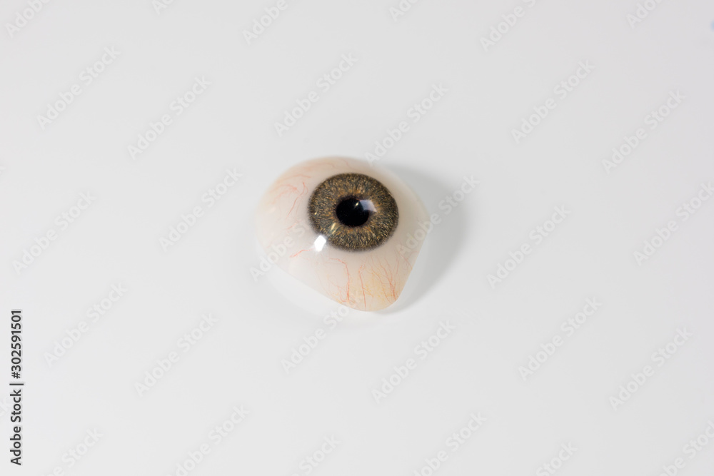 Glass eye prosthetic or Ocular prosthesis with shadow on white Glass eye prosthetic or Ocular prosthesis with shadow on white