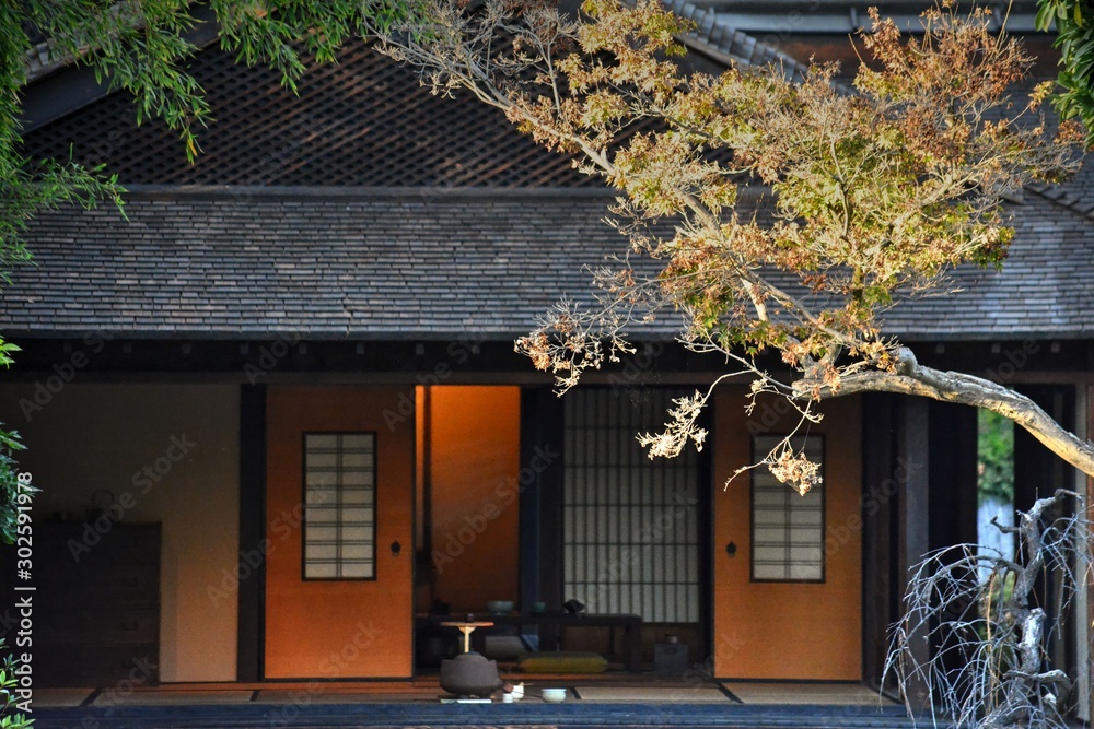 BUILDING JAPANESE HOUSE visual data 3