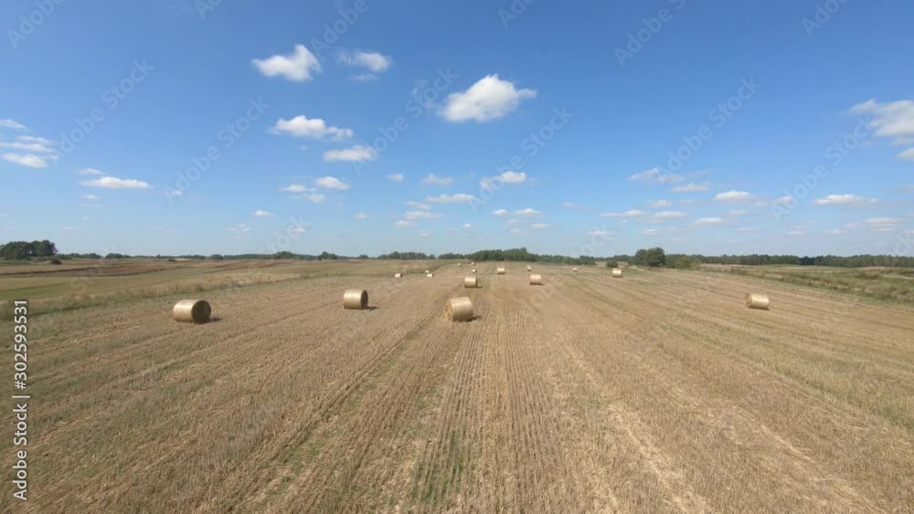 Hay bales after the harvest, winter fodder for animals. Aerial dolly in shot over a harvested field. Hay bales after the harvest, winter fodder for animals. Aerial dolly in shot over a harvested field.