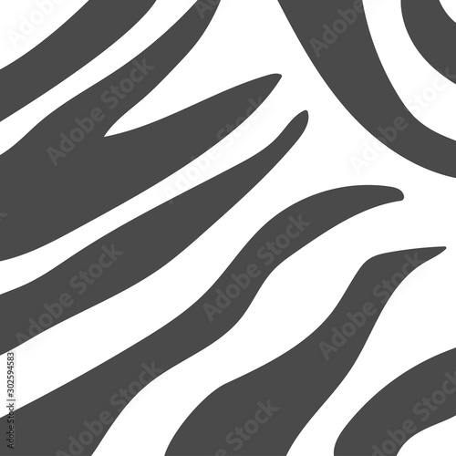 Zebra stripes background. Abstract monochrome animal print. Can be used as fabric texrure or wallpaper. Black and White vector