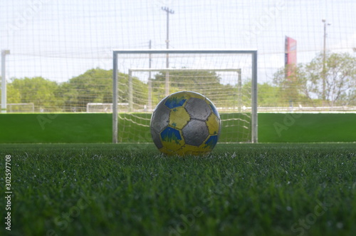 soccer ball on green field © Antony