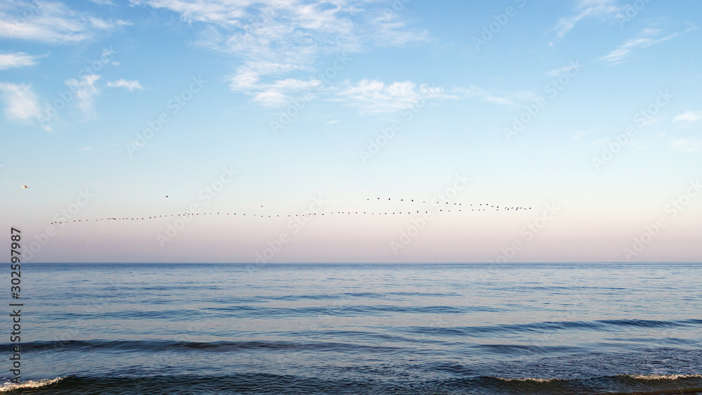 sunrise over the sea and birds in the sky