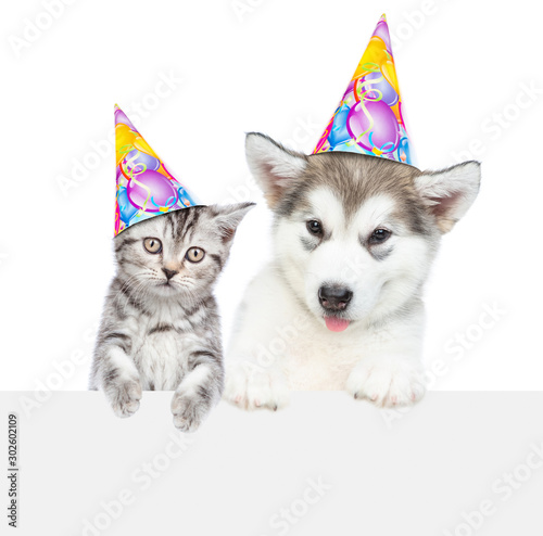 Kitten and alaskan malamute puppy wearing a birthday hats  look above empty banner. isolated on white background © Ermolaev Alexandr