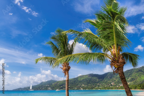 Palm trees on Sunny beach and turquoise sea in Anse Beau Vallon beach  Mahe island  Seychelles. 