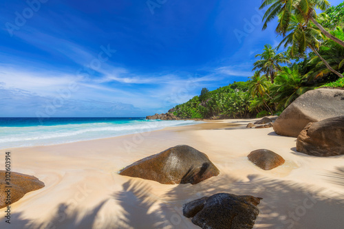 Tropical Paradise Beach. Sandy beach with palm and turquoise sea in Seychelles. Summer vacation and tropical beach concept.  © lucky-photo