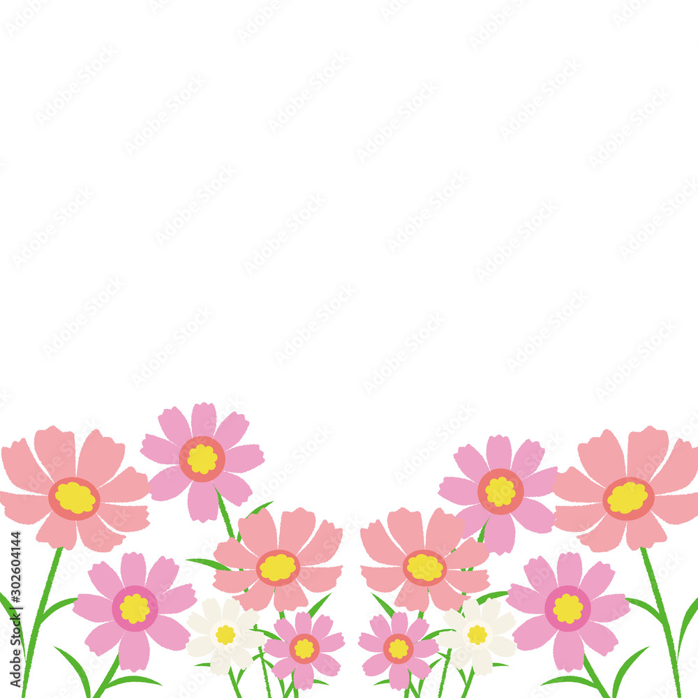コスモスのイラスト コスモスのイラスト