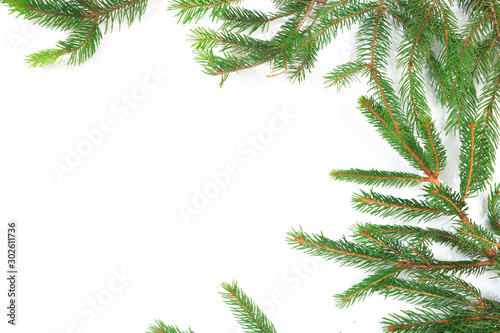 Branches of fir tree on white background isolated .