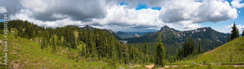 Panoramic view of cypress forest landscape. cloudy blue sky, Washington, United States.