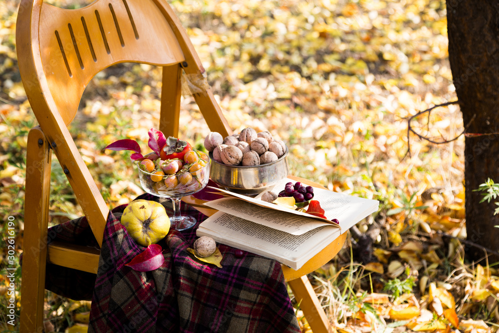 Φωτογραφία Cup of hot coffee or chocolate or tea in white mug with spoon in autumn garden scenery with golden yellow and red leaves on checkered plaid