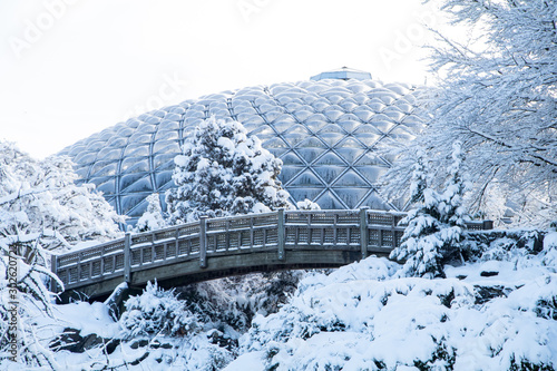 Photography Wooden brigde and Bloedel Conservatory in Queen Elizabeth Park in snow day in the winter