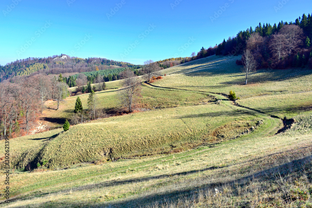  Winding mountain path in Pieniny mountains of sunny autumn day, Poland
