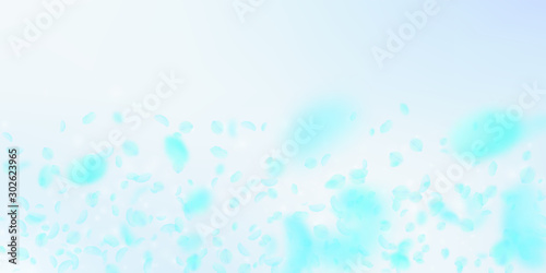 Turquoise flower petals falling down. Magnetic rom