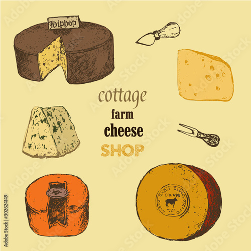 Cheese collection sketch colored vector illustration. Hand drawn sorts of cottage organic production cheeses. Eco goat milk shop or market.