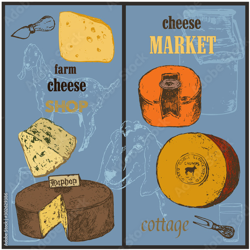 Cheese collection market sketch colored vector banners set illustration. Hand drawn sorts of cottage organic production cheeses. Eco goat milk shop or market poster.