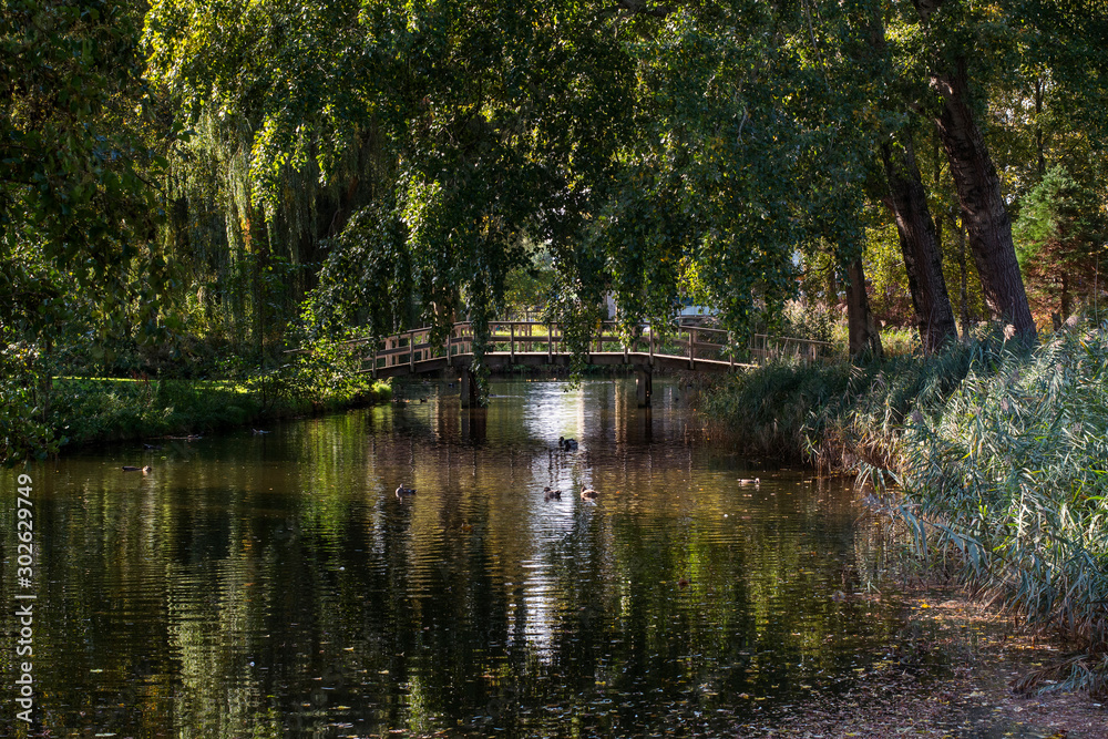 Beautiful green park in the summer day with a little bridge over the river. Daylight. Beautiful green park in the summer day with a little bridge over the river. Daylight.