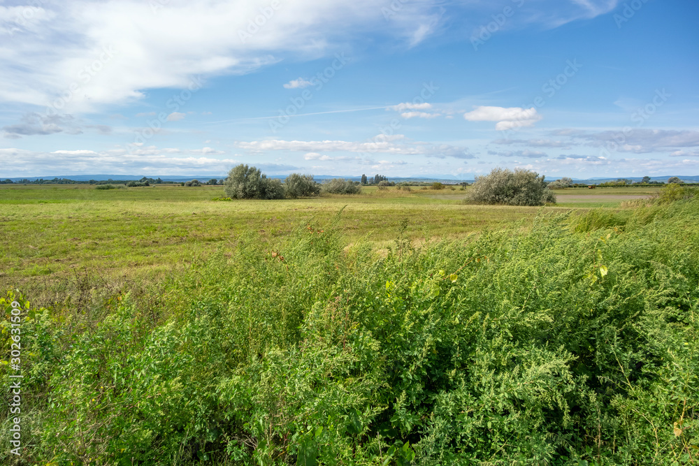 Landscape around Illmitz in Austria