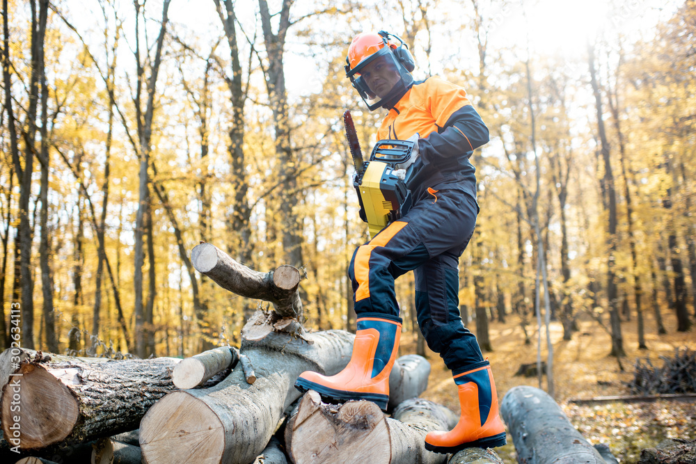 Obraz premium Professional lumberjack in protective workwear working with a chainsaw in the forest. Woodcutter makes a logging outdoors