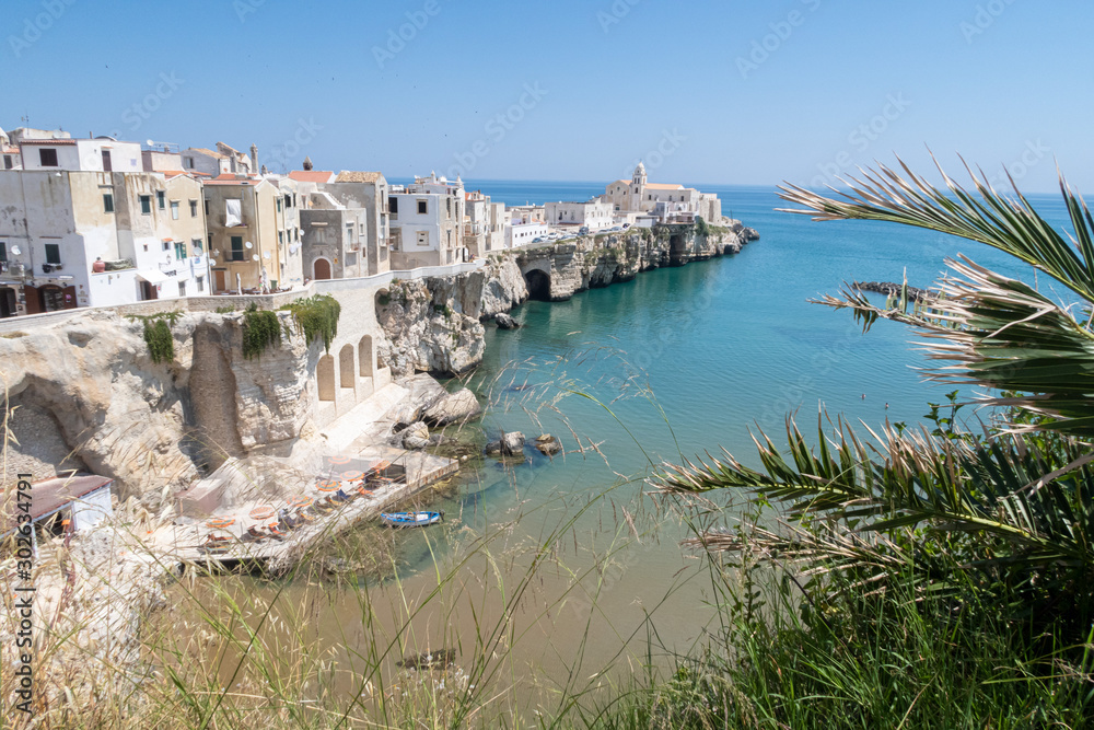 The coast and the old town of Vieste, Gargano, Puglia.