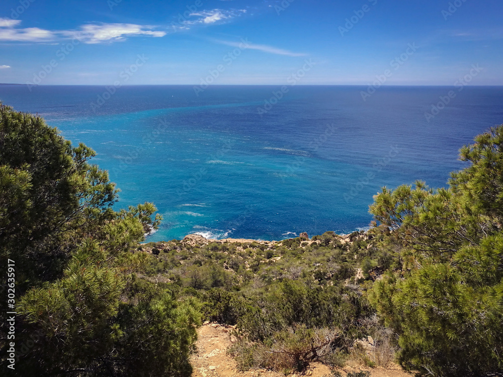 View of Ibiza coastline from top of a rocky hill at Sa Pedrera de Cala D'Hort. Trees and green Mediterranean Conifers in the foreground view from high point top calm sea turquoise water