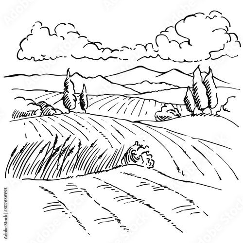 Landscape ink sketch drawing. Rural engraved landscape with plowed fields, cypresses and pine tree.Countryside landscape with hills, fields, trees.