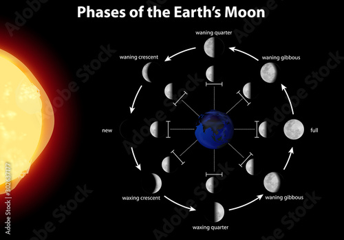 Diagram showing phases of the earth moon