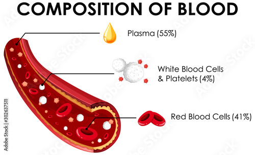 Diagram showing composition of blood photo