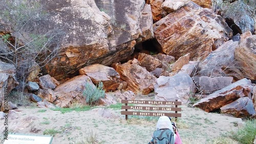 people taking pictures of Black-footed rock wallaby jumping along the walking track of Simpsons Gap, West MacDonnell Ranges National Park, Northern Territory, Australia. SLOW MOTION photo