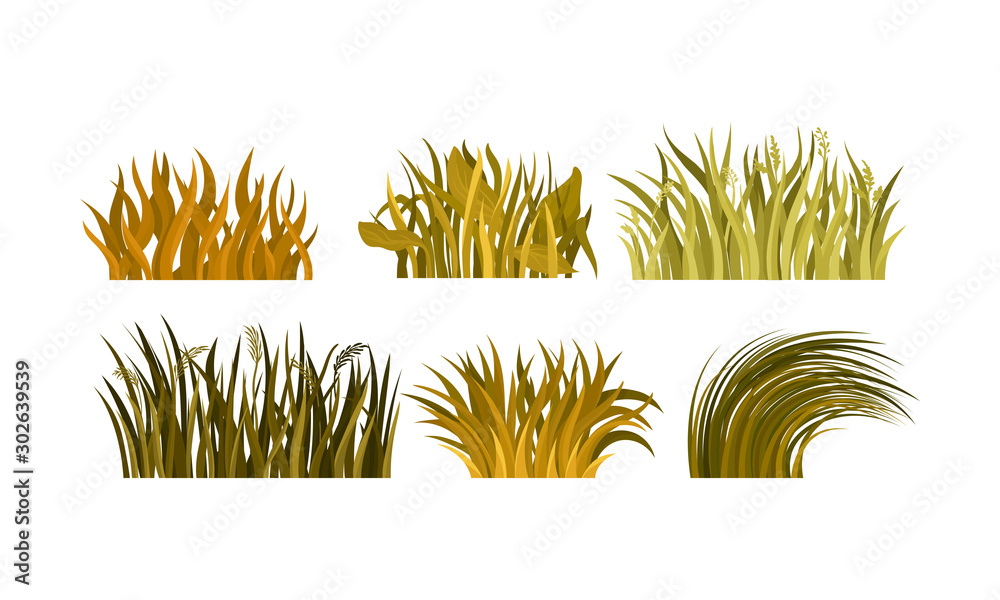 Set Of Different Tufts Of Yellow And Brown Grass Vector Illustration