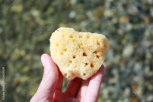Obraz na płótnie Sea sponge in the hand in sea water on the beach background. w salonie