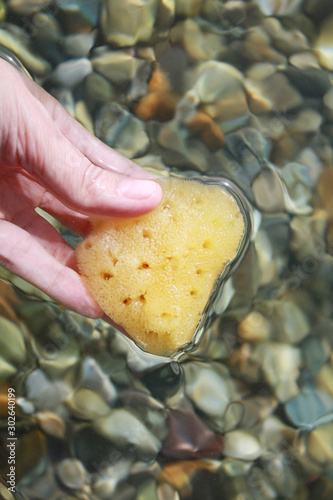 Obraz na płótnie Sea sponge in the hand in sea water on the beach background. w salonie