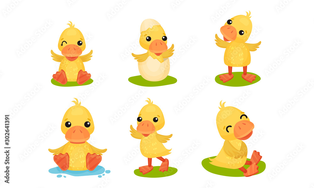 Cute Set With Yellow Ducks In Different Poses Vector Illustration Cartoon Character Cute Set With Yellow Ducks In Different Poses Vector Illustration Cartoon Character