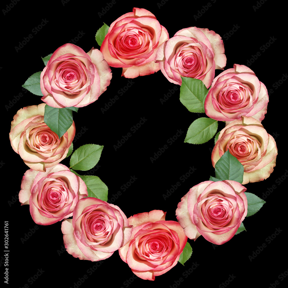 Beautiful flower circle of roses. Isolated