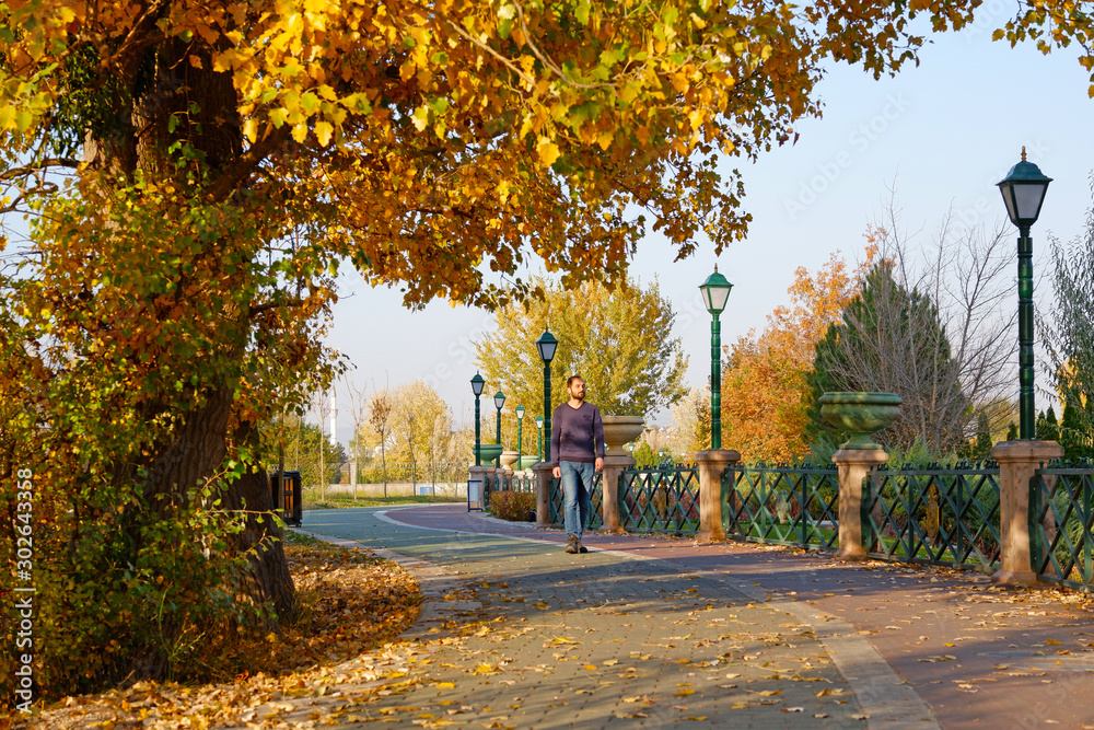 Man is walking on a path in a beautiful park with lovely autumn landscape. 