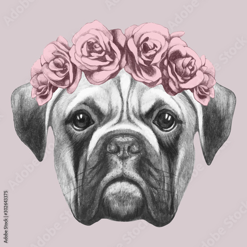 Portrait of Boxer with floral head wreath. Hand-drawn illustration. Vector isolated elements.	