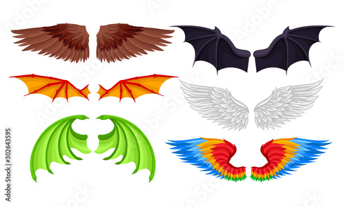 Wings of different birds and fabulous animals. Vector illustration.