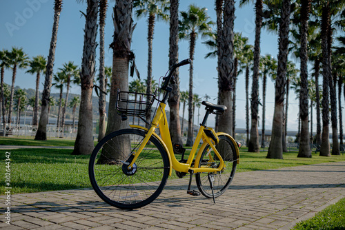 yellow bike black wheels product palm trees the rhythm of the summer sun heat promotional photo