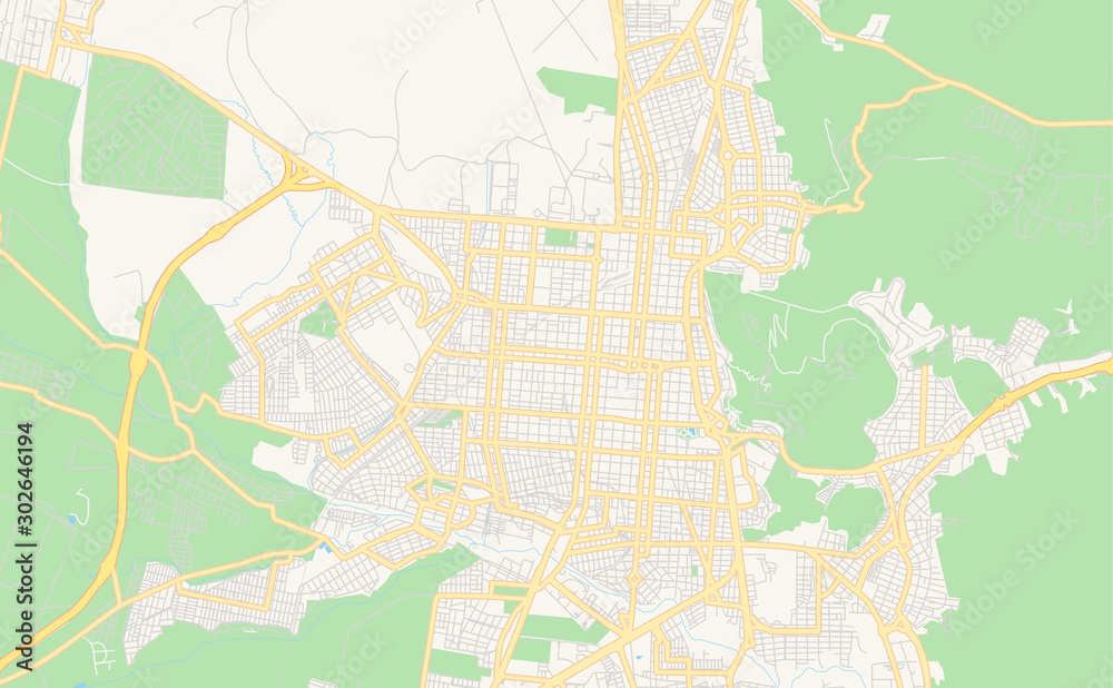 Printable street map of Salta, Argentina