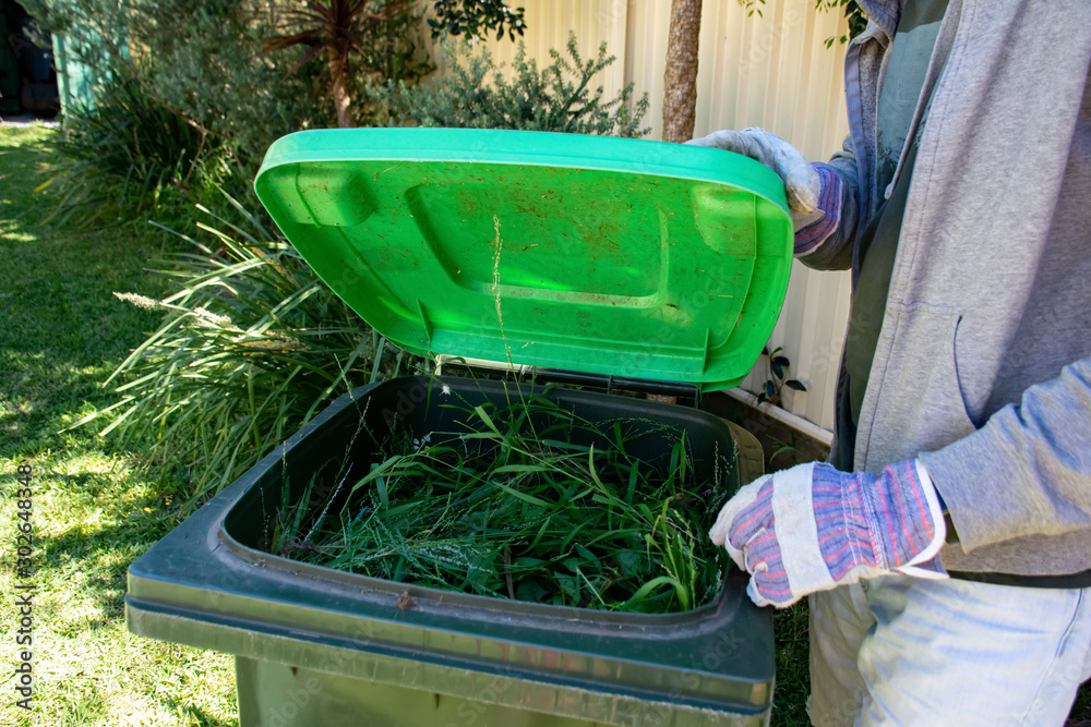 Green bin container filled with garden waste. Hands wearing gardening gloves doing spring clean up in the garden. Recycling garbage for a better environment. Green bin container filled with garden waste. Hands wearing gardening gloves doing spring clean up in the garden. Recycling garbage for a better environment.