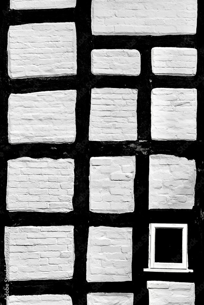 Fototapeta The black and white wall