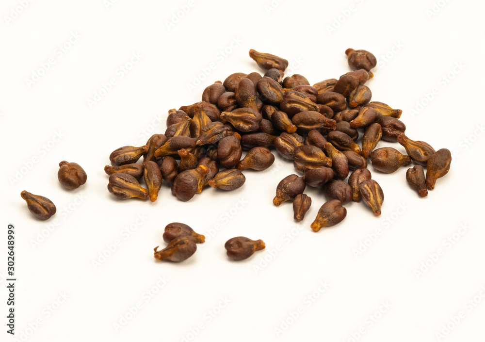 Fototapeta premium Grape Seed isolated on white background