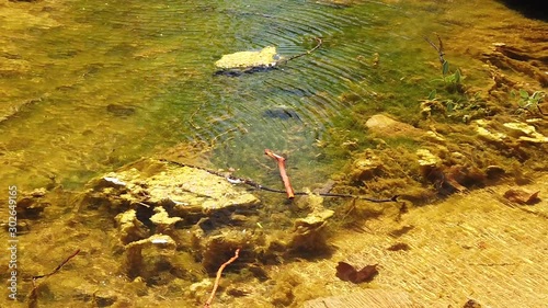 SLOW MOTION: Ellery Creek Big Hole, a waterhole in a gorge surrounded by high red cliffs, is one of most popular camping, walking, swimming spots in West MacDonnell National Park of Australia. photo