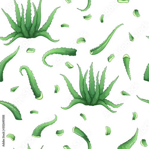 Aloe vera colorful hand drawn vector seamless pattern on white background.  Aloe petals and slice medical herbs repeated backdrop in sketch style. Perfect for wallpapers, surface textures, textile
