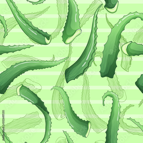 Aloe vera colorful hand drawn vector seamless pattern on creame background.  Aloe petals medical herbs repeated backdrop in sketch style. Perfect for wallpapers, surface textures, textile