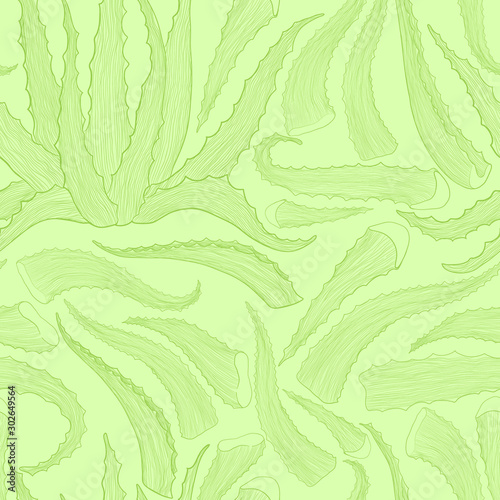 Aloe vera hand drawn vector seamless pattern in line art style. Health Care herbs repeated background on pastels green background. Botanical illustration best for print, packing and textiles design.