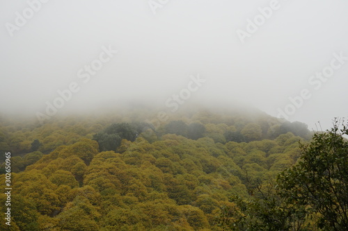 otoño en el valle del genal serrania de ronda malaga andalucia 