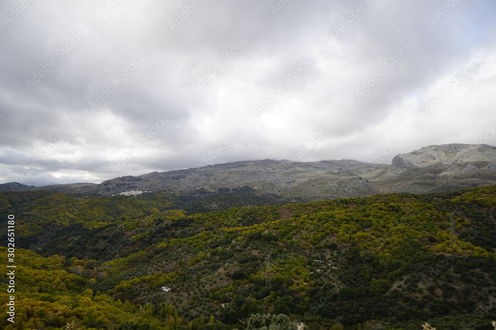autumn forest clouds pujerra desde cartajima otoño en el valle del genal serrania de ronda malaga andalucia autumn forest clouds pujerra desde cartajima otoño en el valle del genal serrania de ronda malaga andalucia