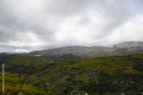 autumn forest clouds pujerra desde cartajima oto  o en el valle del genal serrania de ronda malaga andalucia 