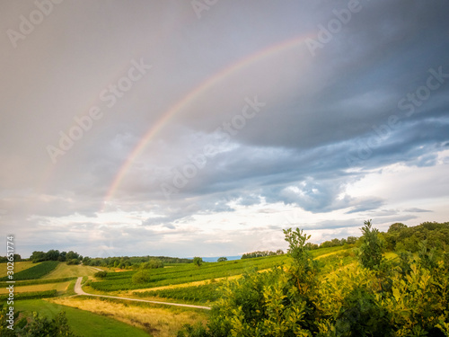 Rainbow at vineyards on a hill in Burgenland Austria