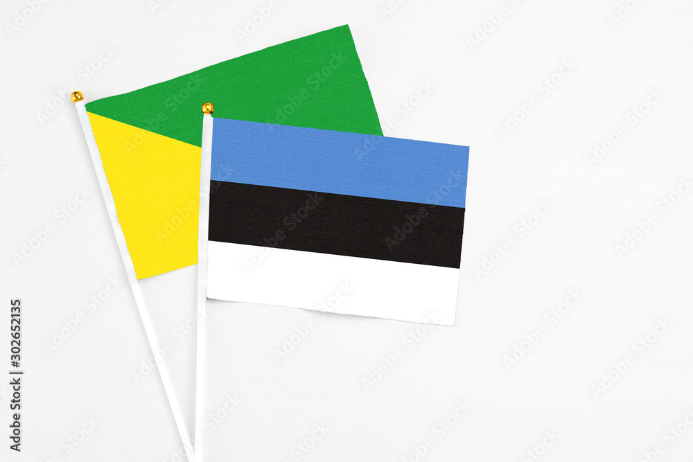 Estonia and French Guiana stick flags on white background. High quality fabric, miniature national flag. Peaceful global concept.White floor for copy space.